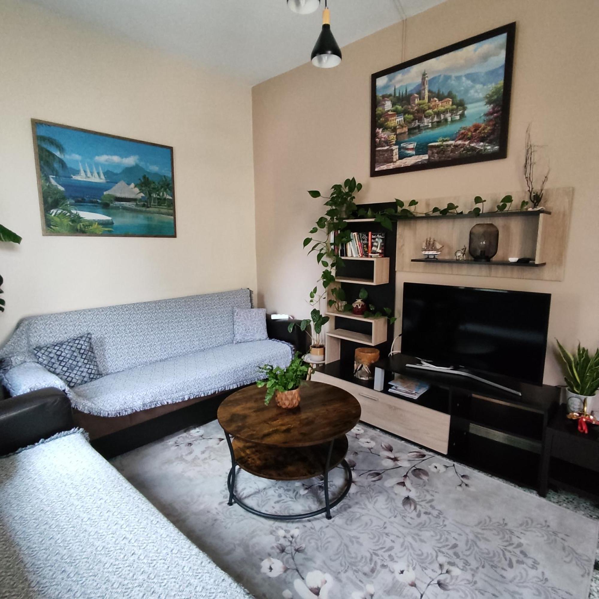 Apartament Napier *